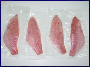 lutjanus spp fillets