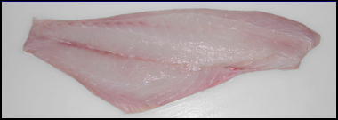 scalet snapper fillet