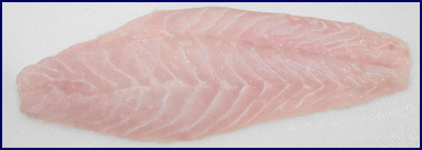 grouper fillet