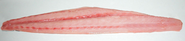 mahi fillet