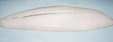 oilfish fillet, escolar fillet